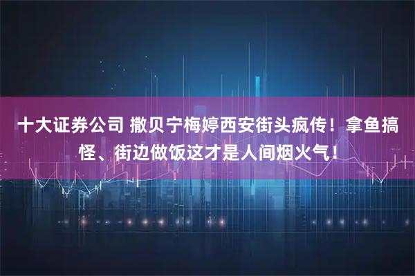 十大证券公司 撒贝宁梅婷西安街头疯传！拿鱼搞怪、街边做饭这才是人间烟火气！